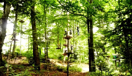 A screenshot of https://www.parc-aventura.ro/ro/